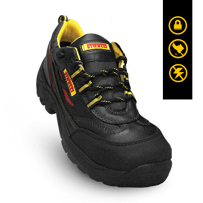 Modelo 401<br />
